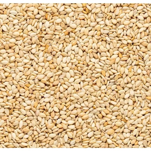 Organic Sesame Seed